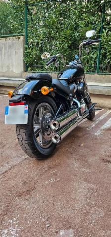 Softail Standard image 1