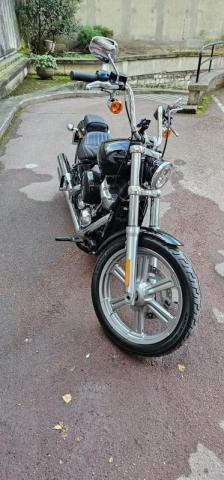Softail Standard image 2