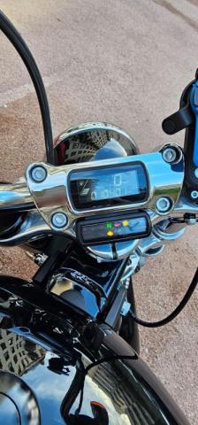 Softail Standard image 4