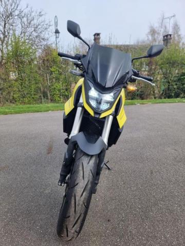 Hornet image 4