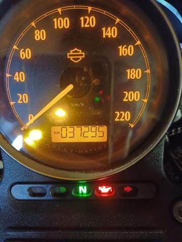 Harley Davidson Sportster image 3