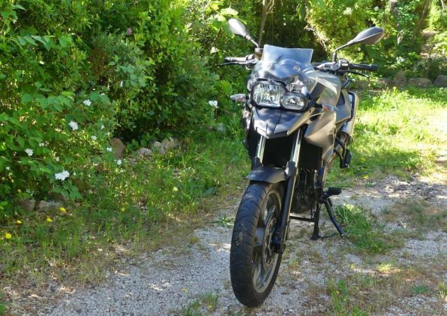 F700 Gs image 3