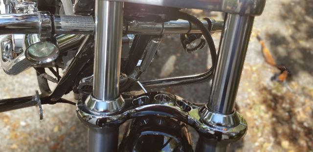 Super Glide image 4