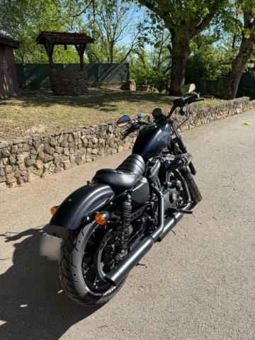 Harley Davidson Sportster image 4
