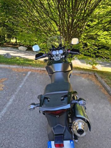 Dl V-Strom image 1