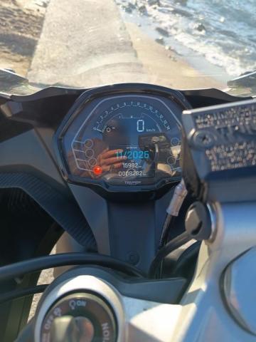 Daytona image 3