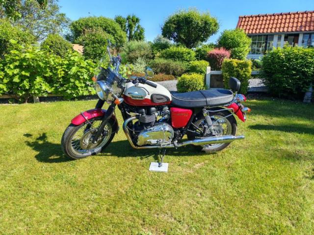Bonneville T100 image 3
