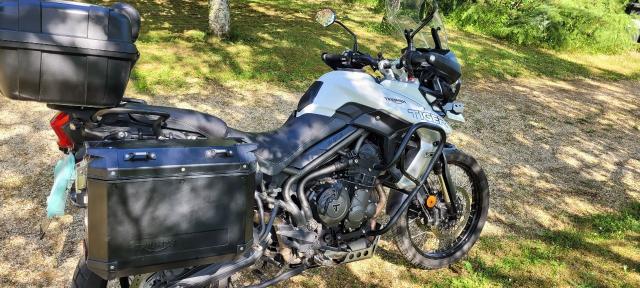 Tiger 800 Xca image 4