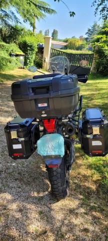 Tiger 800 Xca image 2