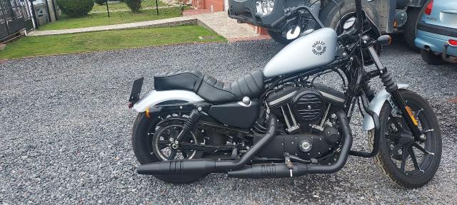 Sportster image 4