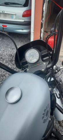Sportster image 1