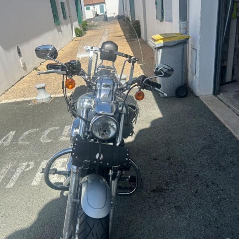 Sportster Custom image 2