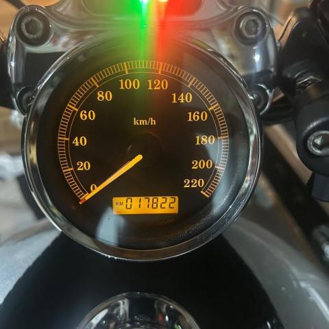 Sportster Custom image 1