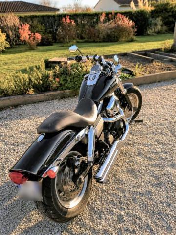 Fat Bob 1584 image 1