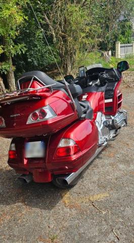 Goldwing image 2
