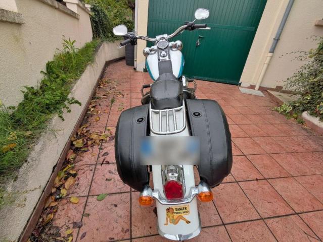 Softail Deluxe image 1