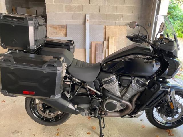 Harley Davidson Pan America Special 1250 