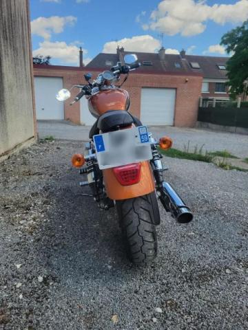 Sportster Custom image 3