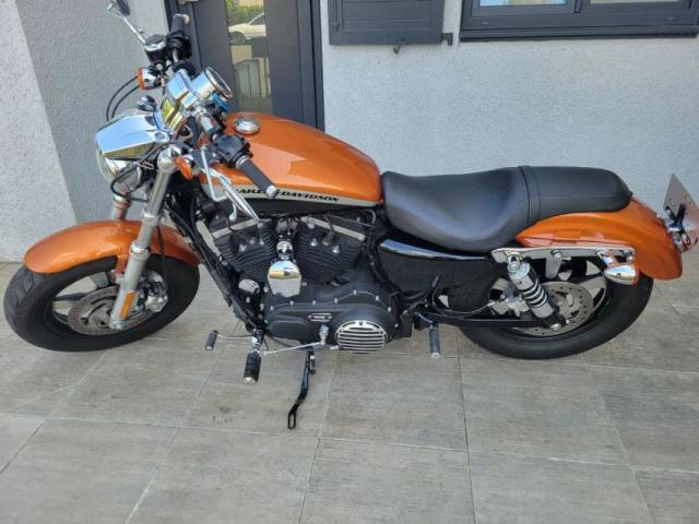 Sportster Custom image 1