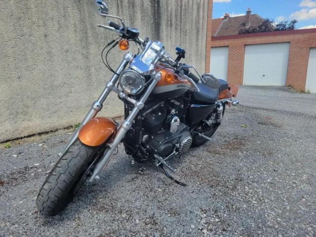 Sportster Custom image 4