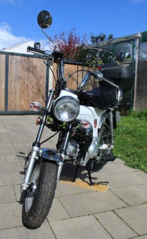 Dax City 50 image 2
