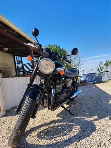 Bonneville T100 Black image 4