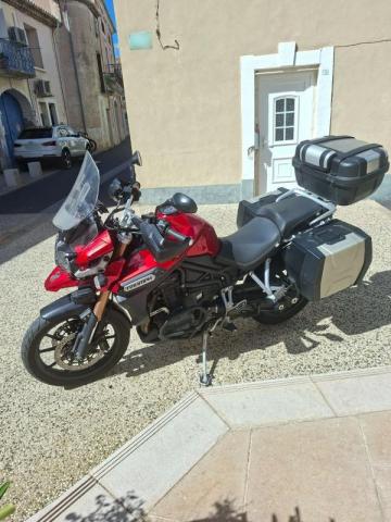 Tiger Explorer image 1