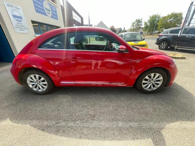 Volkswagen Beetle image 5