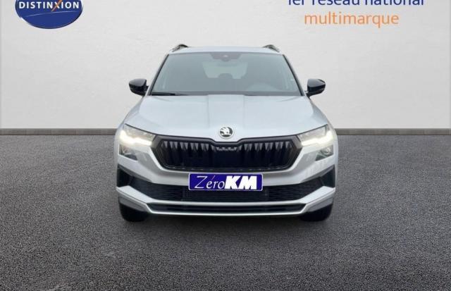 Skoda Karoq image 1