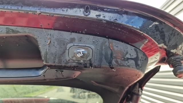 Ford Focus image 3