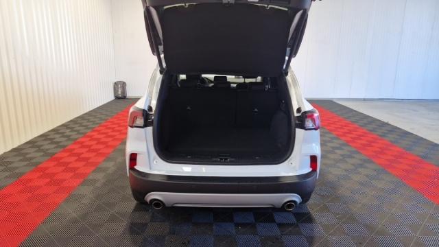 Ford Kuga image 8