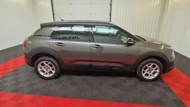 Citroen C4 Cactus image 8