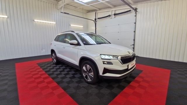 Skoda Karoq image 1