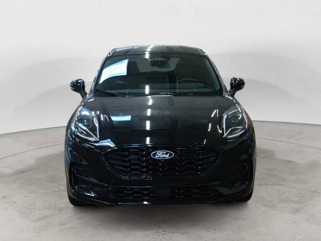 Ford Puma image 2