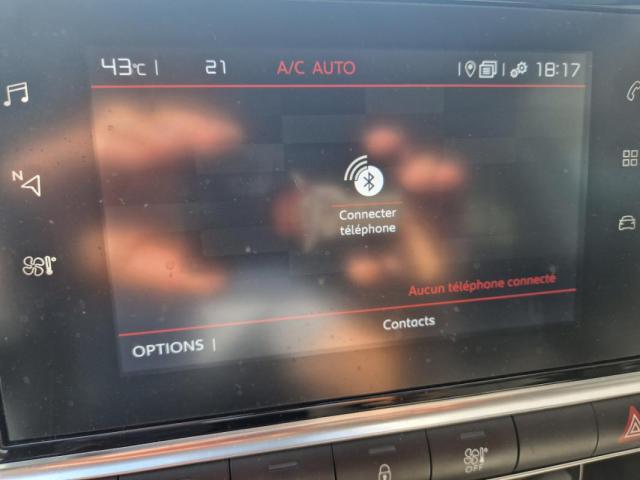 Citroen C4 Cactus image 9