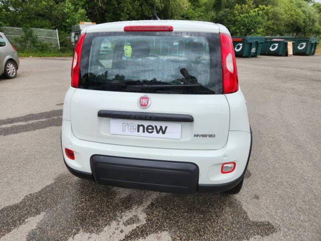 Fiat Panda image 1