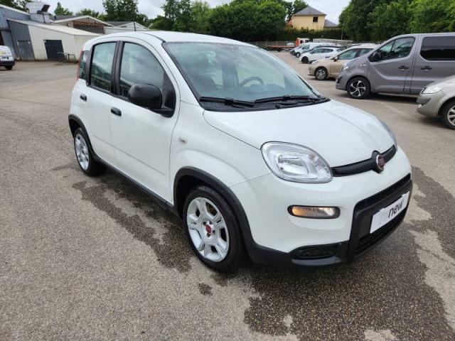 Fiat Panda image 3