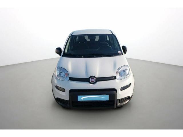 Fiat Panda image 5