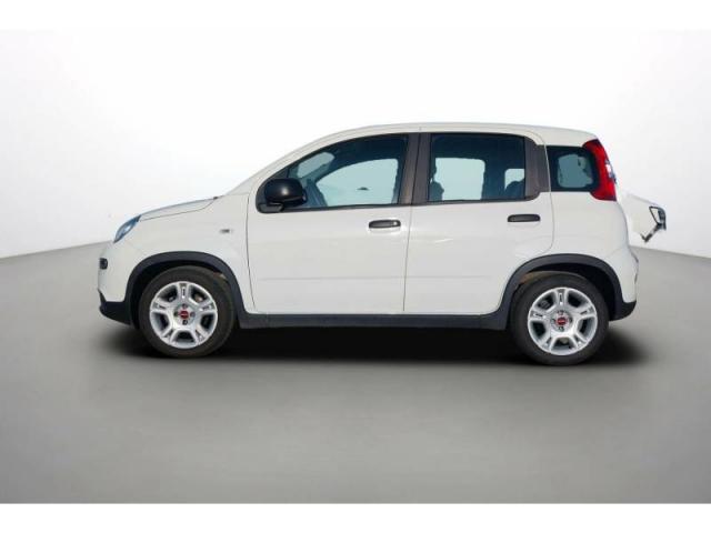 Fiat Panda image 4