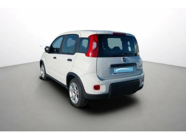 Fiat Panda image 3