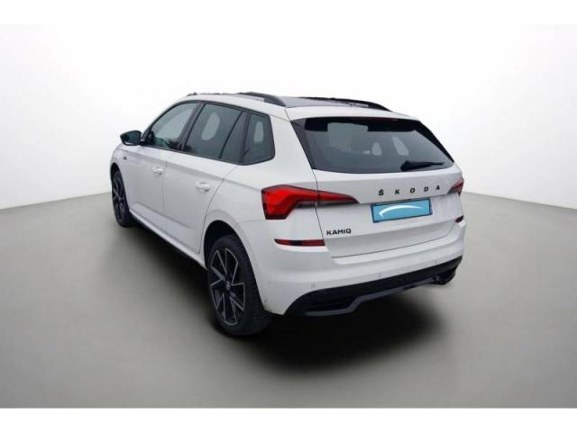 Skoda Kamiq image 1