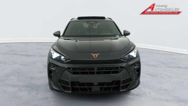 Cupra Terramar image 4