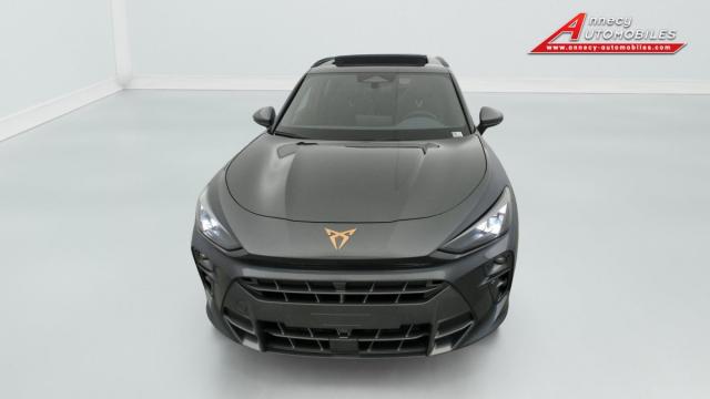 Cupra Terramar image 3