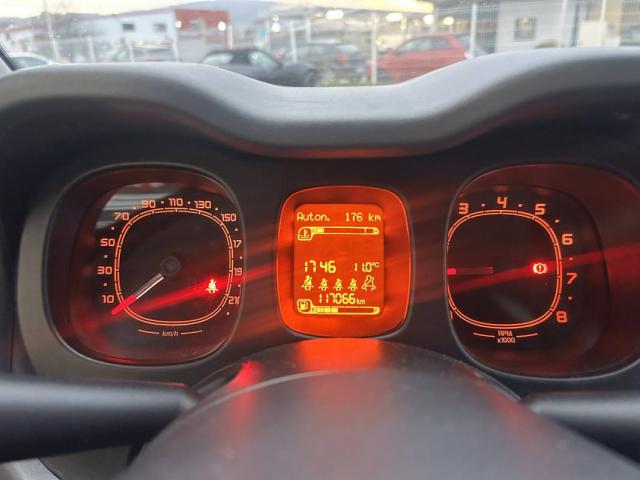 Fiat Panda 4x4 image 1