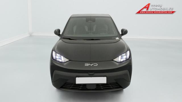 Byd Dolphin image 6