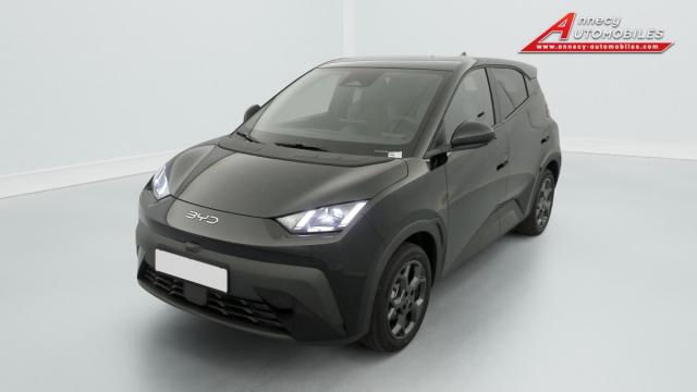 Byd Dolphin image 7