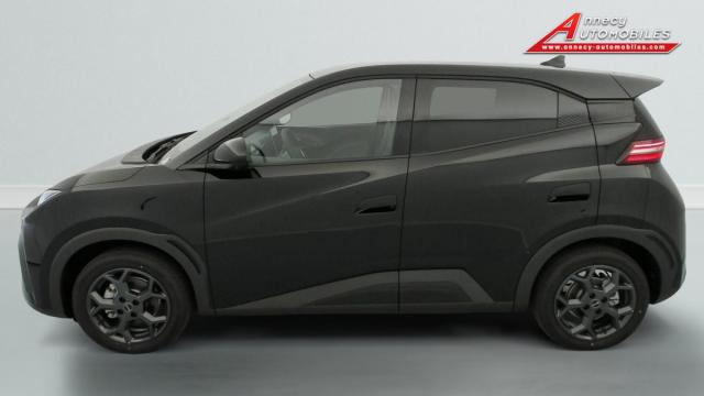 Byd Dolphin image 8