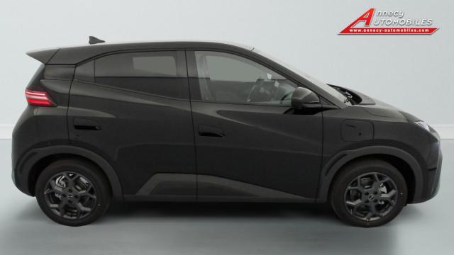 Byd Dolphin image 9