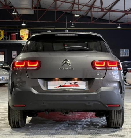 Citroen C4 Cactus image 5