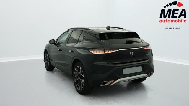 Ds Ds 4 image 8